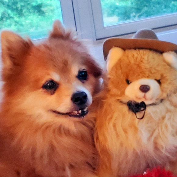 Loki LittleBear 2006-2020 (RSVP delayed shipments) - Picture 4 of 14